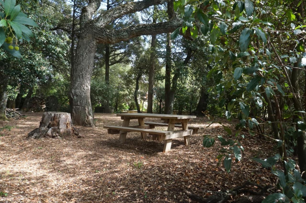 Agriturismo La Romanella Βίλα Βιτέρμπο Εξωτερικό φωτογραφία