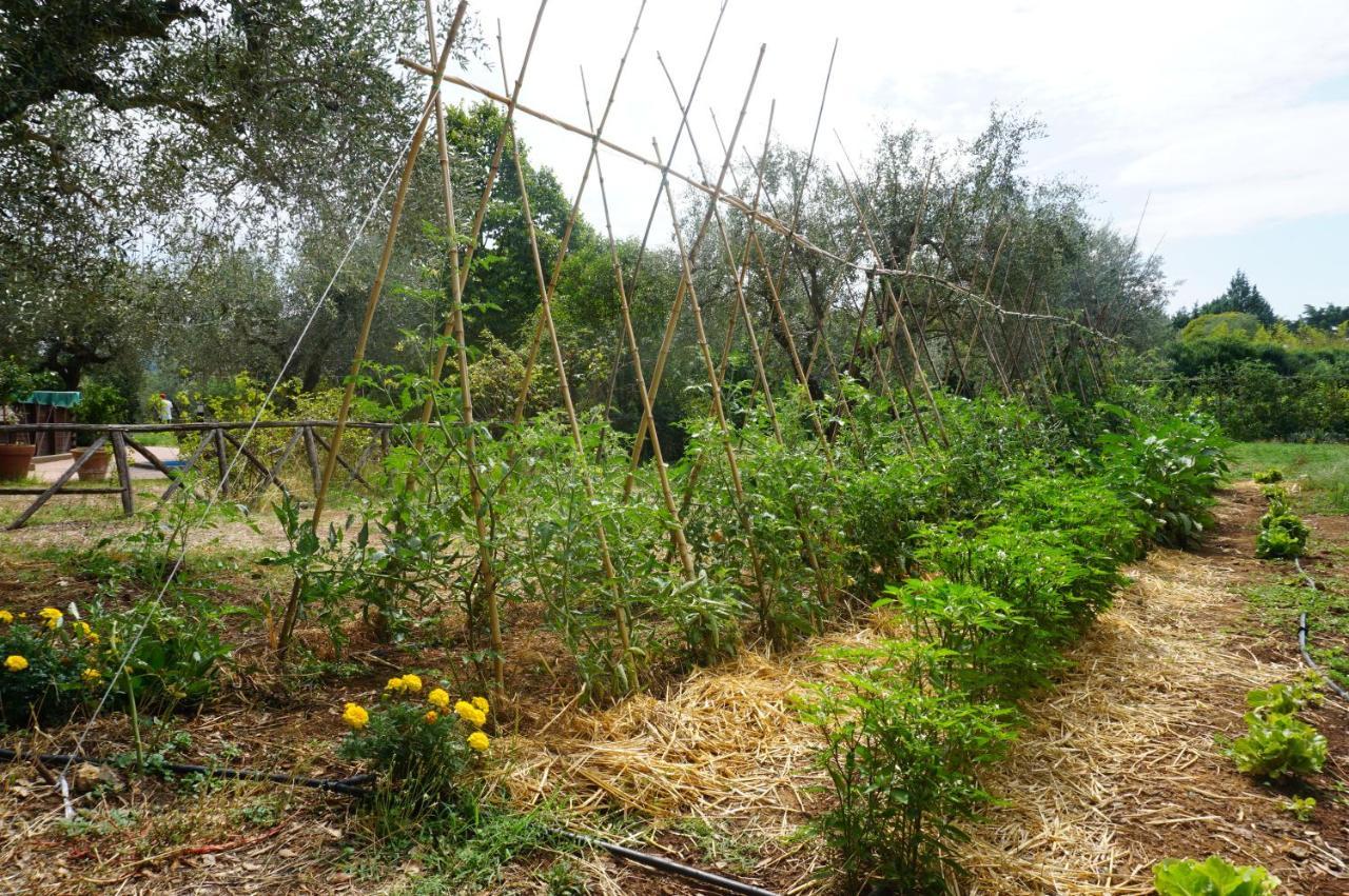 Agriturismo La Romanella Βίλα Βιτέρμπο Εξωτερικό φωτογραφία