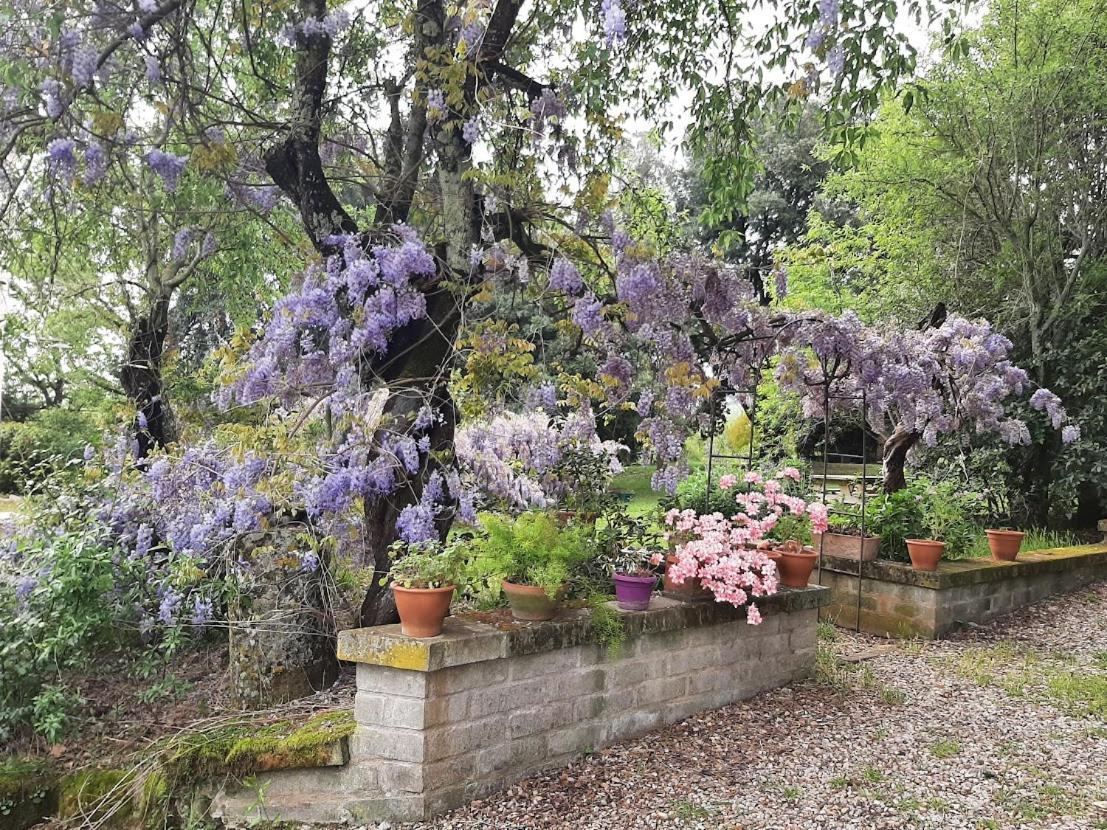 Agriturismo La Romanella Βίλα Βιτέρμπο Εξωτερικό φωτογραφία