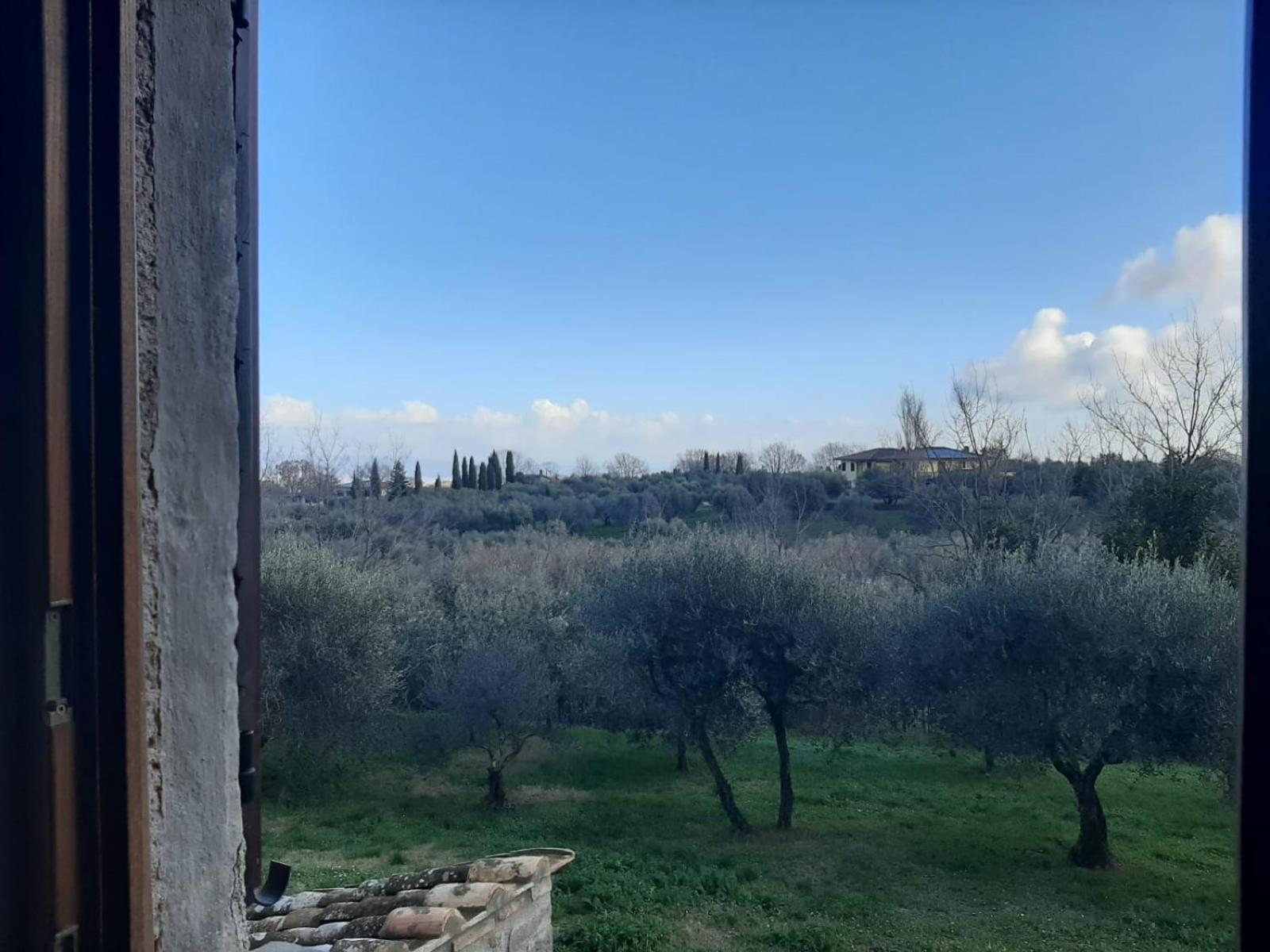 Agriturismo La Romanella Βίλα Βιτέρμπο Εξωτερικό φωτογραφία