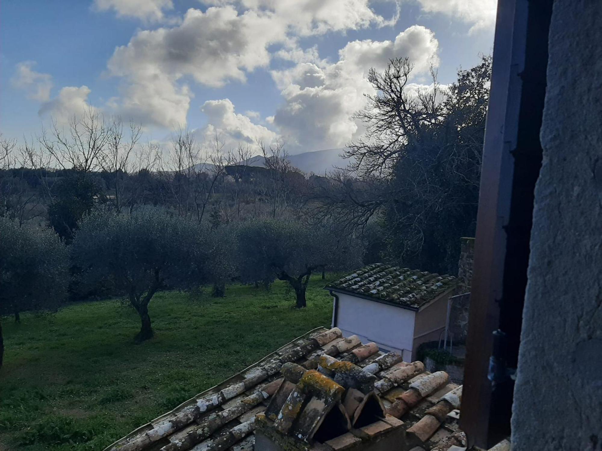 Agriturismo La Romanella Βίλα Βιτέρμπο Εξωτερικό φωτογραφία